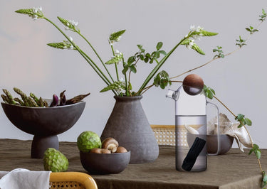 Designer glass filter carafe + 1 organic vegetable charcoal